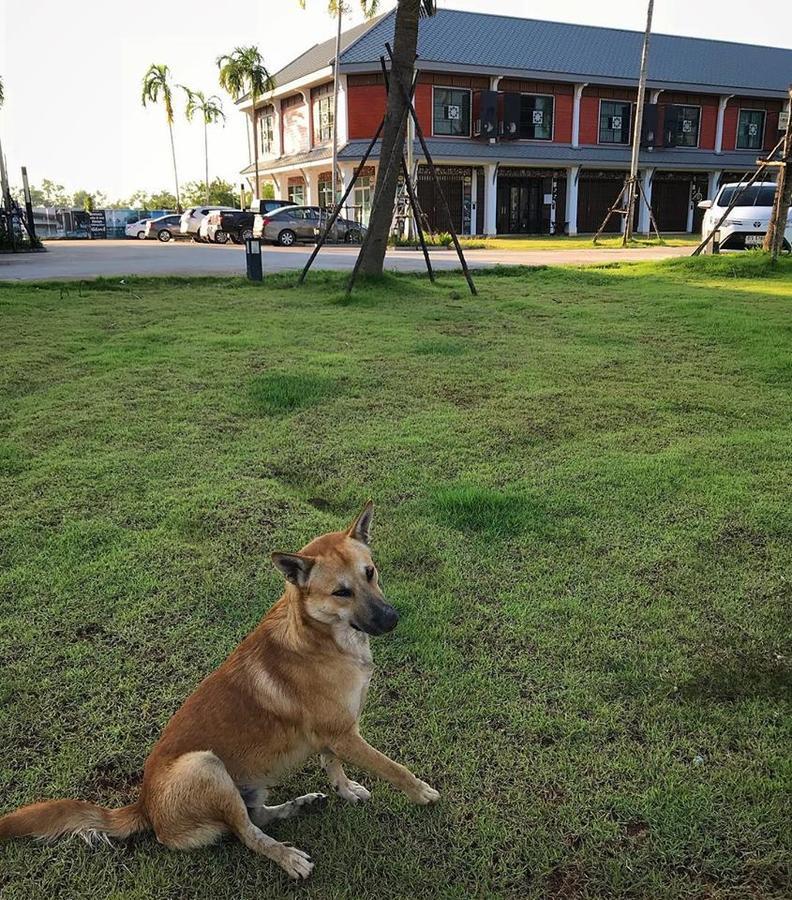A Pousada Barandbed Urt Surat Thani Exterior foto
